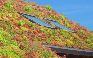 Stony Houghton living roof systems