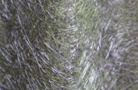 Stony Houghton fibreglass roof work